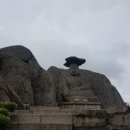 화정여행사주