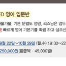 영어입문 이미지