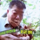 황토건설 이미지