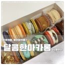 달콤한마카롱by황언니