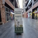 Tailor Puppy 이미지