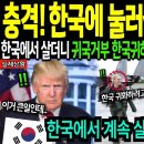 [해외감동사연] 주한 미군 한국 귀화 급증! 한국에 눌러 앉겠다는 미군 속출에 트럼프 경악, 난리난 미국 상황 ﻿감동신호등 이미지