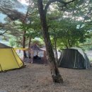 대포숲캠핑장