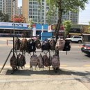 부대앞체육사