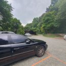 증안지길 이미지