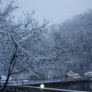 명학산 캠핑장 이미지