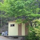 울창 | 진천 펜션 모니 펜션&캠핑 솔직 후기 | 침대에 누워서 울창한 숲이 통째로 보이는 진천 숲캉스 감성 숙소