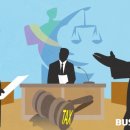 행정사법인 태평양 이미지