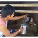 GOAT농장 이미지