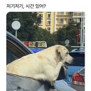 준디테일링 - 고양시 일산서구 일산로636번길 7-4 | 준디테일링