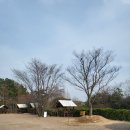 CU 산청원지점 | 경남 글램핑 비토애 럭셔리 글램핑 산청점 다녀온 후기 ♥