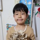 세준농장 Daum카페
