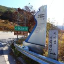 예향의 숲 | 봉화여행 코스 사미정계곡 , 도암정 , 범바위 전망대 봉화 가볼만한곳