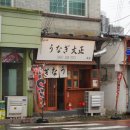 우나기대정