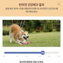 털보카종합카센타 | [퓨리나원-체중건강맞춤식] 배변활동이 눈에 띄게 달라진 2주차~!!