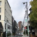 미도리컴퍼니 이미지