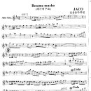 Besame mucho / alto sax 이미지