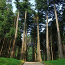 법기수원지 이미지