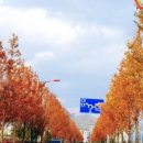 (주)운정골 이미지