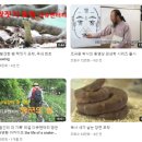 주노기획 이미지