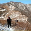 광치마을 이미지