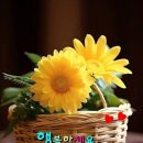 청합니다 이미지