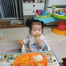 육아 351일 ~ 360일