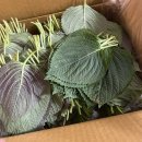 서진농장2 이미지