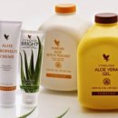 주)베라인터내셔널 이미지