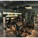 펠리스짐 이미지