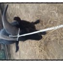 선봉농장 이미지