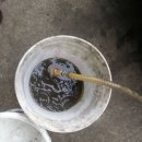 공임나라 북구점 이미지