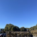 중앙닭집식당 이미지