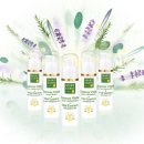 아로마테라피에스테틱 이미지