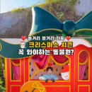 미라클식당 이미지