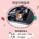 태평유치원