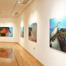 [2025년 상반기]한국화 이미지