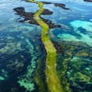 바다산책 이미지