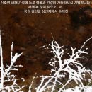상선재 이미지