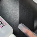 페테리안 이미지