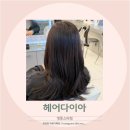 영통역 가까운 헤어샵 추천 헤어다이아 영통스타점 매트브라운 염색 후기