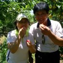 한우물농장 이미지