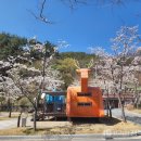 청량산의 봄 이미지