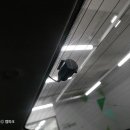 에이스 CRDI 이미지