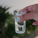 (주)동안판매 | 노브랜드전점 판매 여름 신상주류 쿠로히코보시사츠마소츄 고구마소주 후기
