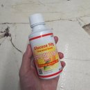 이마트24 대전튼튼병원점 | 대전서울여성병원 25주 임당검사ㅣ재검 당첨, 시기, 비용, 결과, 주차