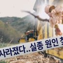 꽃과꿀벌
