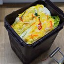 대관령원예농협 국내산 절임배추10KG 백김치 만들기