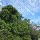 동녘전기 이미지