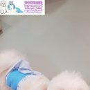 여행마루 2호점 이미지